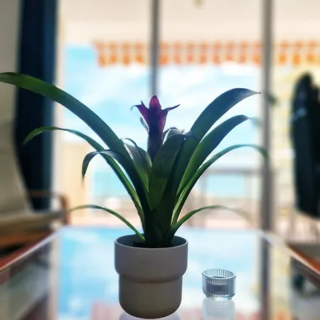 Aa Guest - Sunshine Front Sea Views Eco * Fuengirola