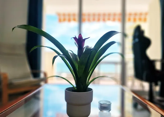 Aa Guest - Sunshine Front Sea Views Eco * Fuengirola